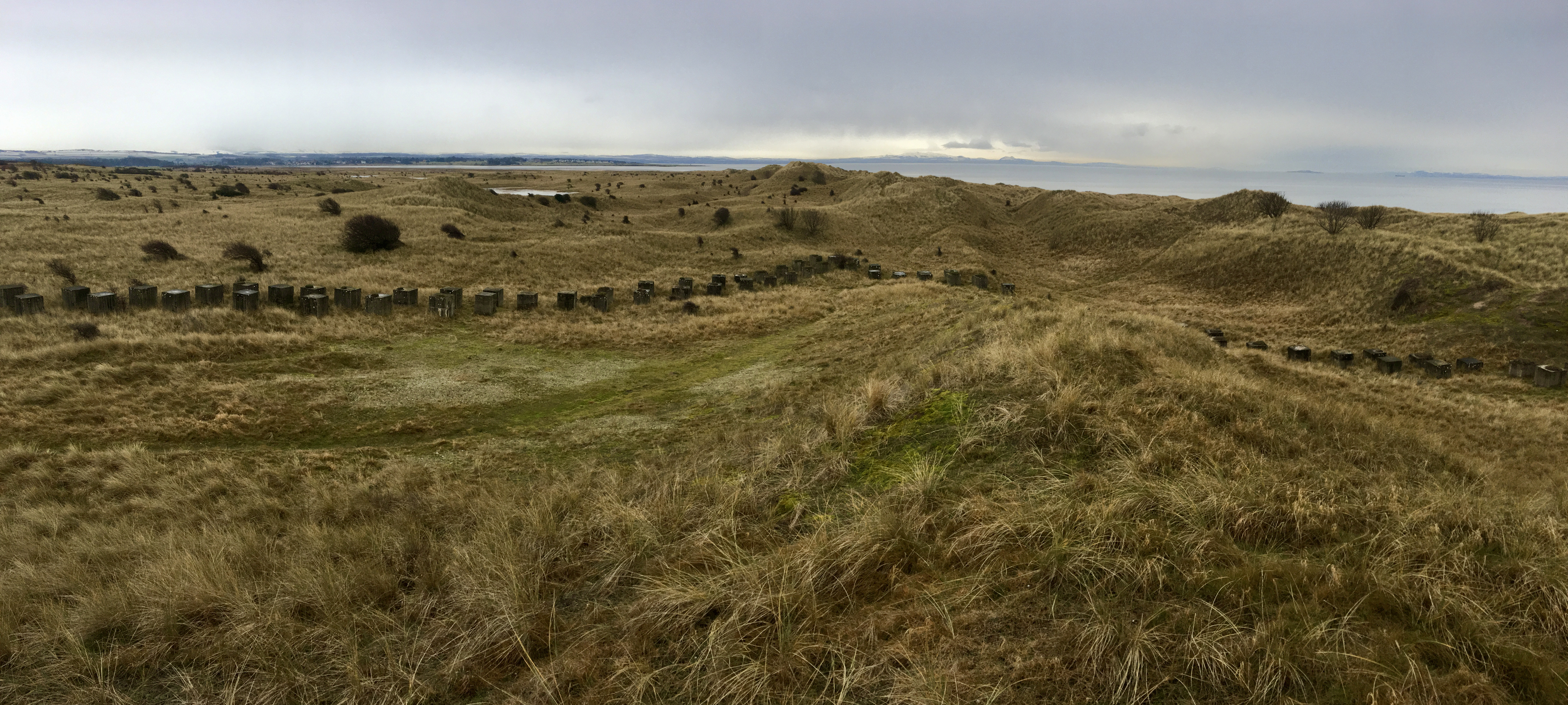 Line of anti-tank defences behind Gullane Sands.JPG